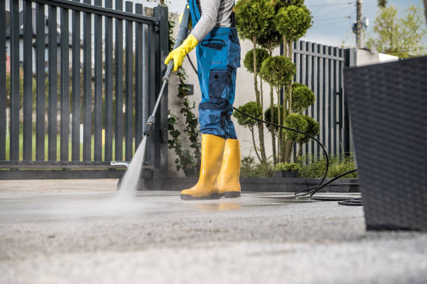 Best Deck Cleaning Services  in La Luz, NM