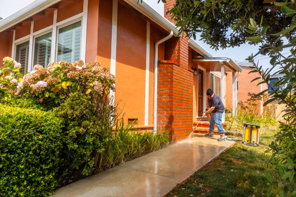 Best Power Washing Near Me  in La Luz, NM